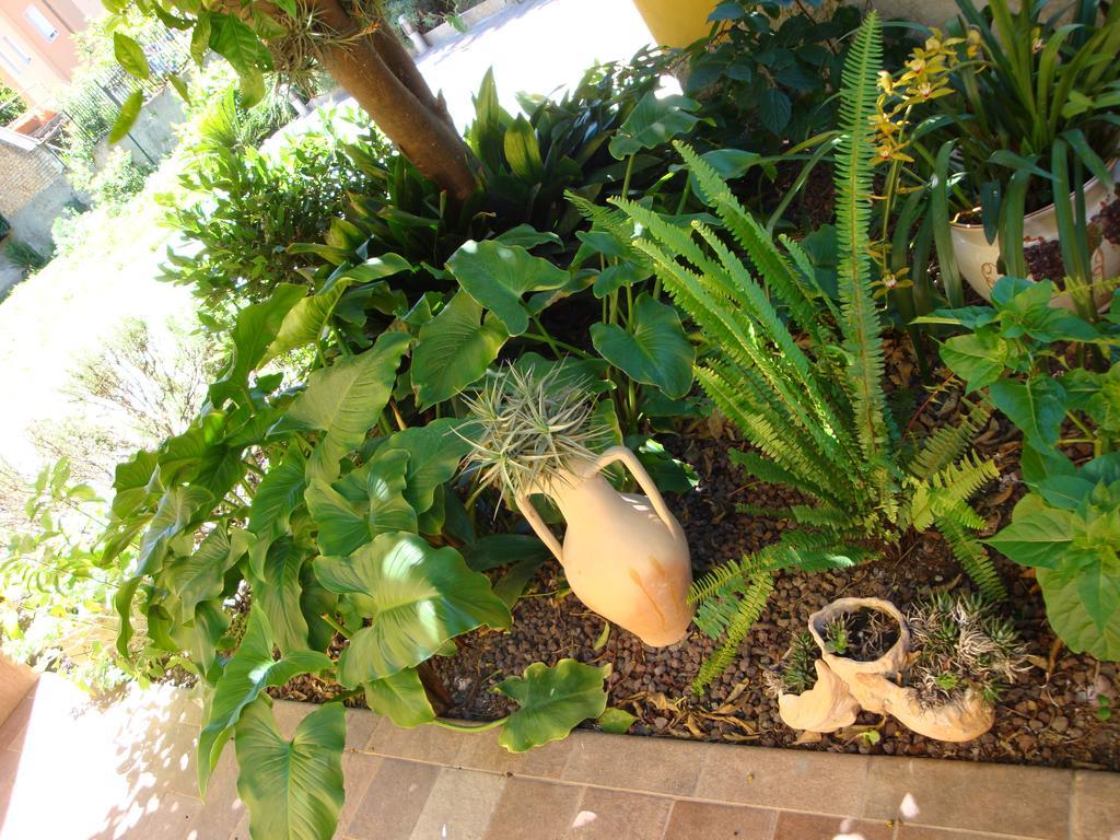 Andoramare B&B エクステリア 写真